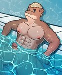 abs anthro blonde_hair erection genitals glans hair humanoid_genitalia humanoid_penis male multicolored_body nipples nude partially_submerged pecs penis pool solo swimming_pool two_tone_body water ej_arts leo_altum mammal marine pinniped sea_lion hi_res