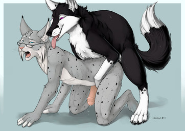 2015 anal anal_penetration anthro bestiality canine cum duo erection feline feral fox fur interspecies looking_pleasured lynx male male/male mammal milkyway nude open_mouth penetration penis sex smile synx_the_lynx tongue tongue_out truegrave9 uncut
Rating: Explicit
Score: 9
User: *Sellon*
Date: March 01, 2015 2015 anal anal_penetration anthro bestiality canine cum duo erection feline feral fox fur interspecies looking_pleasured lynx male male/male mammal milkyway nude open_mouth penetration penis sex smile synx_the_lynx tongue tongue_out truegrave9 uncut
Rating: Explicit
Score: 9
User: *Sellon*
Date: March 01, 2015