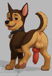 animal_genitalia animal_penis anus canine_genitalia canine_penis canine_teeth feral genitals knot knotted_penis male penis solo solo_focus young bedbug paw_patrol chase_(paw_patrol) canid canine mammal hi_res