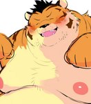 anthro belly black_nose blush eyes_closed kemono male moobs nipples obese obese_male overweight overweight_male paws simple_background solo white_background sessa felid mammal pantherine tiger 2021