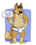 2024 anthro black_nose blue_background blue_seam_briefs blue_waistband blush briefs briefs_only brown_body brown_fur brown_hair bulge canid canine canis clothed clothing comfort coyote detailed_background dirtcoyote english_text facial_hair fur goatee hair hand_on_leg hand_on_side hand_on_thigh hi_res male mammal mushketeery profanity simple_background smile solo tan_body tan_fur teeth_showing text thought_bubble tighty_whities topless underwear underwear_only white_background white_briefs white_clothing white_underwear yellow_sclera