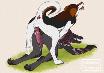 anal anal_knotting anal_penetration animal_genitalia animal_penis anthro anthro_on_anthro arm_feathers arm_tuft ass_up avian_caruncle balls beak bodily_fluids canine_genitalia canine_penis cum cumshot digitigrade duo ejaculation erection feather_hair feathered_crest feathers from_behind_position genital_fluids genital_slit genitals grey_body grey_scales hands-free head_crest interspecies knot knotted_penis knotting male male/male male_penetrated male_penetrating male_penetrating_male mounting penetration penis pseudo_hair rear_admiral_position scales scuted_hands scuted_legs scutes sex shoulder_tuft tuft xenophilia aureskarispriomnis halo_(series) microsoft xbox_game_studios alien avian canid canine canis domestic_dog kig-yar mammal scalie t'vaoan colored