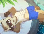 anthro biped blush bulge claws clothed clothing fur fur_tuft inner_ear_fluff looking_at_viewer male navel partially_submerged shota smile smiling_at_viewer solo swimming_pool tuft water whiskers young young_anthro cubboard black-footed_ferret mammal mustelid musteline true_musteline weasel hi_res