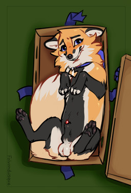 4_toes anatomically_correct anatomically_correct_genitalia anatomically_correct_penis animal_genitalia animal_penis balls black_body black_fur blue_eyes blue_ribbon bow_ribbon box canine_genitalia canine_penis container digitigrade erection feet feral fluffy fluffy_tail fur genitals gift_bow gift_box holidays knot_in_sheath lipsticking looking_at_viewer lying male on_back pawpads paws penis penis_tip quadruped sheath solo spread_legs spreading tail toes yellow_body yellow_fur folvondusque rixan_(folvondusque) canid canine fox mammal red_fox true_fox 2021 hi_res