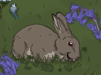 ambiguous_gender brown_body brown_eyes brown_fur buckteeth clover_(plant) detailed_background duo eating_grass feral flower fur grass open_mouth pink_tongue plant smile solo_focus teeth tongue animagusurreal watership_down bluebell_(watership_down) avian bird blue_jay corvid jay_(bird) new_world_jay oscine passerine 2018 4:3 digital_drawing_(artwork) digital_media_(artwork) shaded