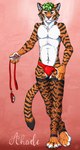 anthro clothing collar cute_fangs fangs fishnet_clothing fishnet_leggings fishnet_legwear leash leashed_collar leggings legwear looking_at_viewer male plantigrade pose simple_background solo stripes suggestive teeth sunny_frostwolf ahaditiger felid mammal pantherine siberian_tiger tiger absurd_res hi_res pinup