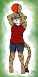 anthro basketball brown_body brown_fur fur grey_eyes male solo sport sportswear stripes white_body white_fur ziegelzeig bonsu_(tigerbonsu) felid mammal pantherine tiger 2024