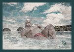 animal_genitalia anthro aroused balls barazoku bodily_fluids cloud genital_fluids genitals in_heat inviting inviting_to_sex inviting_viewer looking_at_viewer male muscular muscular_anthro muscular_male navel nipples nude offering_sex offering_to_viewer pecs penile penis pose red_penis rock sea sky slime smile smooth_skin solo swollen_penis tempting tusks water wet whiskers 5ive9ine2wo animal_humanoid canid canine canis domestic_dog humanoid husky mammal marine marine_humanoid nordic_sled_dog pinniped pinniped_humanoid spitz walrus walrus_humanoid hi_res