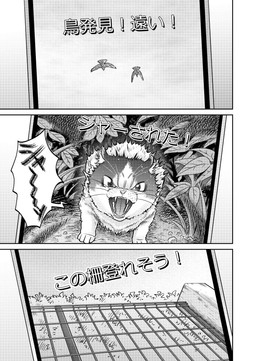3_panel_comic ambiguous_feral ambiguous_gender dialogue exclamation_point fangs feral fur glistening glistening_eyes grass leaf looking_at_viewer open_mouth outside paws phone_screen plant sky solo speech_bubble teeth text white_sclera hiroki_katsumata ambient_bird domestic_cat felid feline felis mammal 2025 comic digital_media_(artwork) dithering greyscale hi_res japanese_text monochrome multiple_scenes screentone translated