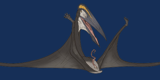 4_toes anatomically_correct anatomically_correct_genitalia anatomically_correct_penis animal_genitalia beak black_claws brown_eyes claws erection feathers feet feral genitals grey_beak grey_body grey_feathers grey_wings legs_up looking_at_viewer lying male membrane_(anatomy) membranous_wings on_back open_beak open_mouth penis pink_penis pycnofibres raised_head simple_background soles solo spiral_penis spread_wings toe_claws toes tongue transparent_background white_face wings technesaurus path_of_titans azhdarchid hatzegopteryx prehistoric_species pterosaur reptile scalie 2024 absurd_res alpha_channel digital_drawing_(artwork) digital_media_(artwork) full-length_portrait hi_res portrait three-quarter_portrait