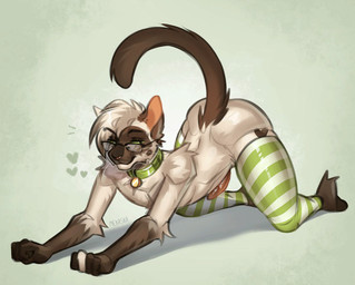 all_fours anthro biped brown_body brown_fur brown_tail butt clothing collar erection eyewear femboy fur genitals glasses green_clothing green_collar green_eyes green_legwear green_stockings heart_symbol legwear male mostly_nude_anthro mostly_nude_male pattern_clothing pattern_legwear pattern_stockings penis smile solo stockings striped_clothing striped_legwear striped_stockings stripes tail tail_motion tailwag text wearing_glasses whiskers mekaska daniil_(siamesekatboi) domestic_cat felid feline felis mammal siamese_cat 2d_animation animated artist_name