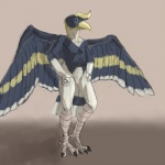 4_toes 5_fingers anisodactyl anthro athletic athletic_anthro athletic_male avian_feet beak biped black_claws blue_eyes casque_(anatomy) claws countershade_face countershade_torso countershading digitigrade feathered_wings feathers featureless_crotch feet fingers front_view gloves_(marking) grey_background grey_body grey_countershading grey_feathers grey_skin grey_stripes hand_on_hip hand_on_leg hand_on_thigh head_crest humanoid_hands leg_markings looking_away male markings multicolored_body multicolored_feathers nude reverse_countershading scutes simple_background smile socks_(marking) solo spread_wings standing striped_markings striped_tail striped_wings stripes tail tail_feathers tail_markings talons toes white_body white_countershading white_feathers white_stripes wings yellow_beak yellow_body yellow_feathers yellow_stripes blindwatchman ali_(sanmer) avian bird bucerotiform hornbill rhinoceros_hornbill 1:1 2013 digital_media_(artwork) full-length_portrait portrait