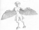 anthro avian_feet beak breasts claws eye_mouth feathered_arms feathered_wings feathers female mouth_eye navel nipples nude simple_background solo tail tail_feathers teeth white_background wide_hips winged_arms wings ebrithilbowser animal_humanoid avian avian_humanoid bird bird_humanoid humanoid absurd_res hi_res monochrome