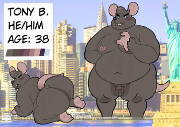all_fours anthro balls belly big_belly big_butt butt genitals grey_body larger_but_small male micropenis moobs navel nipples nude overweight overweight_male penis small_penis solo standing tail axelfloof mammal murid murine rat rodent 2026 absurd_res hi_res