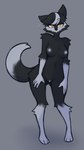 3_toes 5_fingers anthro areola bar_emanata black_body black_fur black_hair breasts emanata feet female fingers front_view fur genitals grey_areola grey_hair grey_nipples grey_pussy grey_tail hair looking_at_viewer navel nipples one_eye_closed orange_eyes pussy simple_background smile solo standing tail text toes tongue tongue_out mewgle canid canine fox mammal 2025 digital_media_(artwork) english_text hi_res