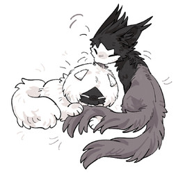 2_tails ambiguous_gender black_body black_fur duo eyes_closed feral fluffy fluffy_tail fur grey_body grey_fur licking multi_tail paws quadruped simple_background tail tongue tongue_out white_background white_body white_fur aaasakawa hollow_knight:_silksong hollow_knight_(franchise) team_cherry lace_(hollow_knight:_silksong) phantom_(hollow_knight:_silksong) felid feline mammal 2026 hi_res female_(lore) sibling_(lore) sister_(lore) sisters_(lore)