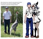 baseball_cap bodily_fluids bottomwear clothed clothing comparison duo female hat head_wings headgear headwear holding_arm human_on_humanoid insane interspecies male male/female open_mouth pants photo possessive real shirt smile sweat sweating_profusely text topwear unusual_wing_placement wings yandere kukuruyoart kemono_friends smithsonian_conservation_biology_institute chris_crowe walnut_the_crane white-naped_crane_(kemono_friends) animal_humanoid antigone_(genus) avian avian_humanoid bird bird_humanoid crane_(bird) crane_humanoid gruiform gruiform_humanoid human humanoid mammal white-naped_crane english_text hi_res