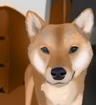 ambiguous_gender black_nose dresser feral fur furniture inner_ear_fluff inside looking_at_viewer solo standing tan_body tan_fur tuft white_inner_ear_fluff ethelas canid canine canis domestic_dog mammal