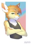 anthro clothed clothing female fur green_eyes mohawk smile smiling_at_viewer solo tan_body tan_fur synnfultiger glow_(character) canid canine fennec_fox fox mammal true_fox absurd_res half-length_portrait hi_res portrait herm_(lore)