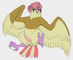 avian avian_feet beak bird erection feathered_wings feathers feet feral generation_1_pokemon genitals male nintendo nude penis pidgeotto pokemon pokemon_(species) python13rp simple_background solo tail tail_feathers talons tapering_penis toes white_background wings yaroul