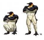 abs anthro beak biceps black_body black_eyes crossed_arms crouching featureless_crotch male muscular muscular_male pecs quads semi-anthro simple_background solo white_background white_body yellow_body matataku avian bird emperor_penguin penguin 2019 full-length_portrait portrait sequence