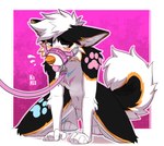 5_fingers anthro arm_tuft belly bent_leg big_tail blep blue_eyes blue_pawpads blush blush_lines cheek_markings cheek_tuft chest_markings chest_tuft clothing curled_tail dark_body dark_fur ear_tuft ears_down elbow_tuft facial_markings facial_tuft feet fingers fluffy fluffy_hair fluffy_tail flustered flustered_male fur fur_markings fur_tuft grey_body grey_fur hair head_markings heterochromia hindpaw inner_ear_fluff leaning leaning_forward leash leashed_male looking_down male male_anthro markings mouth_closed multicolored_body multicolored_fur muzzle_(object) muzzled narrowed_eyes orange_body orange_fur orange_nose pawpads paws pink_clothing pink_eyes pink_leash pink_pawpads pivoted_ears simple_background solo spread_legs spreading straps tail teeth teeth_showing text thick_tail tongue tongue_out tuft white_body white_fur white_hair fenneckiro fluffy_(fluffybarks) canid canine canis domestic_dog husky mammal nordic_sled_dog spitz 2025 absurd_res digital_media_(artwork) english_text hi_res