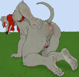 anthro anus armpit_hair ball_tuft beard body_hair eyebrows facial_hair feet flaccid foreskin frown genitals grass hair humanoid_feet humanoid_genitalia humanoid_hands humanoid_penis looking_at_viewer male mature_male nipples penis plant plantigrade presenting presenting_anus red_hair solo tuft unibrow stinkdyde the_simpsons groundskeeper_willie canid canine mammal hi_res