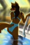 anthro backless_clothing backless_swimsuit brown_body brown_fur brown_hair butt climbing clothing female fur hair inside one-piece_swimsuit open-back_swimsuit solo sport_swimsuit swimming_pool swimwear water wet ulrich-ironpaw that_pool canid canine canis mammal wolf 2018 hi_res