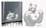 anthro flexing fur male muscular muscular_anthro muscular_male real smile solo canyne_khai canid canine canis domestic_dog mammal reference_image