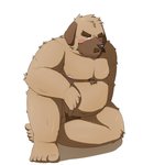 anthro belly blush brown_body brown_fur fur humanoid_hands kemono male moobs nipples overweight overweight_anthro overweight_male pubes simple_background sitting solo white_background emufu canid canine canis domestic_dog mammal 1:1 2014