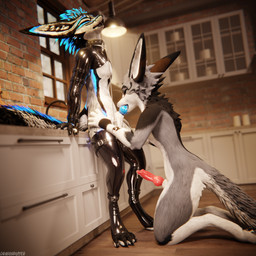 animal_genitalia animal_penis anthro anthro_on_anthro anthro_penetrated anthro_penetrating anthro_penetrating_anthro armwear balls bdsm biped black_body black_clothing black_fur blue_body blue_fur blue_markings blue_penis bodily_fluids canine_genitalia canine_penis chain chain_leash claws clothed clothing collar cum cum_dripping_from_penis cum_on_penis depth_of_field dominant duo erection feet fellatio fur genital_fluids genitals gloves grey_body grey_fur hair handwear hindpaw inside kitchen kneeling kneeling_oral_position knot knotted_penis latex latex_armwear latex_clothing latex_gloves latex_handwear latex_legwear latex_thigh_highs leaning_on_object leash leashed_collar legwear male male/male male_penetrating markings moan multicolored_body nude open_mouth oral oral_penetration orgasm paws penetration penile penis penis_in_mouth pink_penis red_penis reflection sex slim slim_anthro slim_male slim_sub smile standing submissive submissive_male tail thigh_highs wearing_collar whiskers white_body white_fur dragonplayer dragonplayer_(character) kenovawolf canid canine canis fox hybrid jex mammal rexouium 1:1 3d_(artwork) absurd_res blender_(artwork) blender_cycles_(artwork) digital_media_(artwork) hi_res