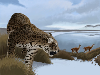 ambiguous_gender black_markings blue_sky cloud day feral fur grass group lake leopard_spots markings nature outside plant sky snow spots spotted_body tan_body tan_fur trio whisker_spots whiskers white_underside agustindiazart alpaca camelid mammal patagonian_panther 2025 4:3 hi_res