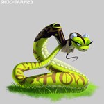 blue_eyes female feral grass green_body limbless_vertebrate markings plant scales simple_background solo tail tattoo text towel conditional_dnp shido-tara dreamworks kung_fu_panda master_viper reptile scalie snake viper 1:1 2023 artist_name hi_res