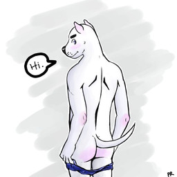 anthro black_nose blue_eyes blush butt clothing dialogue fur grey_background looking_at_viewer looking_away looking_back male simple_background smile solo standing tail thin_tail undressing whisker_spots white_background white_body white_fur p_rindustries bull_terrier canid canine canis domestic_dog hunting_dog mammal terrier 1:1