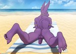 anthro backsack balls beach butt feet foreskin genitals hairless humanoid_genitalia humanoid_penis looking_at_viewer looking_back looking_back_at_viewer lying male nude on_front outdoor_nudity outside penis purple_body rear_view sea smile solo water spelunker_sal dragon_ball dragon_ball_super beerus domestic_cat felid feline felis hairless_cat mammal sphynx_(cat)