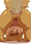 2013 anal anal_penetration anus blush brown_fur clitoris dagasi dripping eevee female feral fur gaping gaping_pussy interspecies looking_at_viewer male nintendo penetration penis pokémon poképhilia pussy sex straight video_games
Rating: Explicit
Score: 30
User: allhenz
Date: May 28, 2013