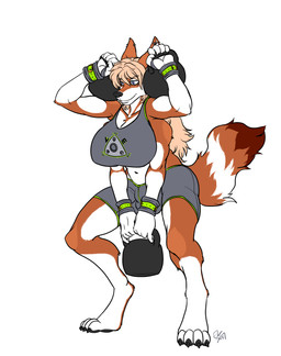 4_arms anthro athletic_wear biped blue_eyes bottomwear bracelet bulge clothing digitigrade exercise gynomorph hair intersex jewelry kettlebell multi_arm multi_limb multifur shorts solo standing weightlifting weights workout sleepyface ellie_(krasnyakoiot) canid canine canis ethiopian_wolf mammal wolf absurd_res hi_res