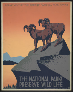 2_horns ambiguous_feral ambiguous_gender curled_horn detailed_background duo feral hill hooves horn looking_aside outside quadruped rock standing text unguligrade unknown_artist national_parks_service bighorn_sheep bovid caprine mammal sheep 1939 20th_century absurd_res ancient_art english_text hi_res huge_filesize traditional_media_(artwork)