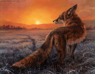 ambiguous_gender black_nose dusk feral fur furry_tail grass landscape looking_at_viewer looking_back looking_back_at_viewer nature nature_background outside plant quadruped rear_view sky solo standing sunset tail text kenket canid canine fox mammal 2014 painting_(artwork) traditional_media_(artwork) traditional_painting_(artwork) url