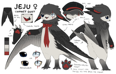 ambiguous_anthro ambiguous_gender anthro avian_feet beak black_beak black_clothing black_eyes black_hat black_headwear bow_tie butt clothing color_swatch eye_scar eyes_closed facial_scar feathers female_symbol gender_symbol grey_body grey_feathers grey_scutes grey_wings hat headgear headwear kemono multicolored_body multicolored_feathers neck_tuft open_mouth open_smile partially_blind pawpads red_bow_tie red_inner_ear red_pawpads red_ribbon red_scar scar scutes smile solo standing symbol text tuft white_eyes winged_arms wings yellow_sclera jejejunum jeju_(jejejunum) apodiform avian bird chimney_swift swift_(bird) 2026 digital_drawing_(artwork) digital_media_(artwork) english_description english_text full-length_portrait hi_res model_sheet portrait female_(lore)