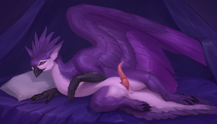 animal_genitalia anus beak bedding bedroom belly black_beak black_claws blanket blue_blanket claws curtains erection feathered_tail feathered_wings feathers feral fluffy fur genital_slit genitals inner_ear_fluff inside lying male medial_ring on_side penis pillow presenting presenting_penis purple_body red_eyes solo spread_legs spreading tail tapering_penis tuft white_belly wings conditional_dnp ztalex mythology arith avian bird gryphon mythological_avian mythological_creature absurd_res hi_res
