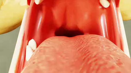 ambiguous_gender ambiguous_pov consistent_pov female feral first_person_view mouth_shot open_mouth oral_vore prey_pov solo swallowing vore danger_n00dle_(artist) mythology dragon mythological_creature mythological_scalie scalie 16:9 3d_(artwork) 3d_animation animated better_version_at_source digital_media_(artwork) no_sound short_playtime video widescreen