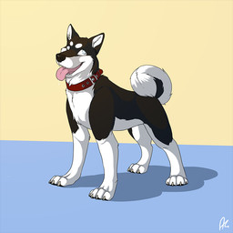 ambiguous_feral ambiguous_gender black_body black_fur black_tail blue_eyes fangs feral fur open_mouth open_smile quadruped side_view simple_background smile solo tail teeth tongue tongue_out white_body white_fur white_tail solaxe_(artist) canid canine canis domestic_dog husky mammal nordic_sled_dog spitz 1:1 signature
