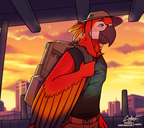 backpack beak bottomwear cargo_shorts city city_background clothed clothing feathers hat headgear headwear male marty_the_macaw muscle_shirt red_body red_feathers shorts sunset yellow_eyes codyf0xx ara_(genus) avian bird macaw neotropical_parrot parrot scarlet_macaw true_parrot hi_res