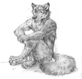 anthro cheek_tuft facial_tuft fluffy fluffy_tail fur looking_at_viewer male nude open_mouth simple_background sitting solo tail tongue tongue_out tuft akatan_art canid canine canis mammal wolf 2025 dated hi_res monochrome traditional_media_(artwork)