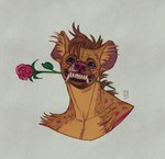 2023 anthro artist_logo brown_body brown_fur brown_hair bust_portrait dated fangs flower flower_in_mouth front_view fur glistening glistening_eyes hair hi_res hyena logo looking_at_viewer male mammal markings orange_body orange_fur plant portrait purple_nose purple_spots riorix rose_(flower) rose_in_mouth simple_background solo spots spotted_body spotted_fur teeth whiskers