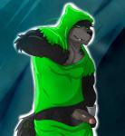 anthro barazoku clothing foreskin genitals hoodie male muscular muscular_anthro muscular_male penis solo topwear audiophilliac danny_phantom nickelodeon wulf_(danny_phantom) canid canine canis ghost mammal spirit wolf hi_res