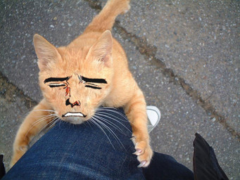 ambiguous_gender cat claws duo edit feline feral first_person_view human jeans leg_humping mammal real shopped solo_focus unknown_artist yaranaika
Rating: Safe
Score: 1
User: ktkr
Date: February 06, 2011 ambiguous_gender cat claws duo edit feline feral first_person_view human jeans leg_humping mammal real shopped solo_focus unknown_artist yaranaika
Rating: Safe
Score: 1
User: ktkr
Date: February 06, 2011
