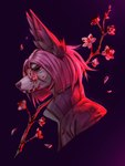 ambiguous_gender anthro blood bodily_fluids clothed clothing eyebrows eyelashes eyewear glasses hair pink_hair purple_background simple_background solo hauringu 2022 bust_portrait digital_media_(artwork) portrait male_(lore)