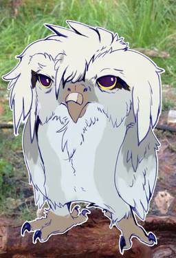 ambiguous_gender band-aid band-aid_on_beak band-aid_on_face band-aid_on_nose bandage bandage_on_beak bandage_on_face bandage_on_nose beak feathers feet feral grey_body grey_feathers hair humor photo_background purple_eyes solo talons toes wet white_body white_feathers wings speccychicken joy_(shammy) avian bird owl 2025 colored digital_drawing_(artwork) digital_media_(artwork) draw_over meme mixed_media photography_(artwork) shaded